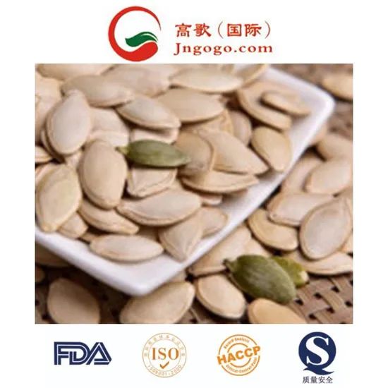White Pumpkin Seed Kernels - Superior Quality and Packing Options - Image 2