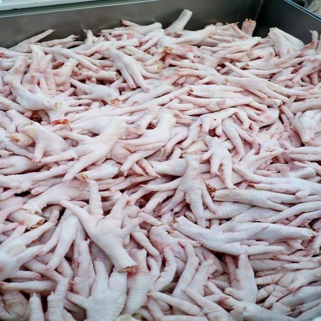 Wholesale Frozen Chicken Feet and Premium Halal Chicken Paws for Global Buyers - Image 4