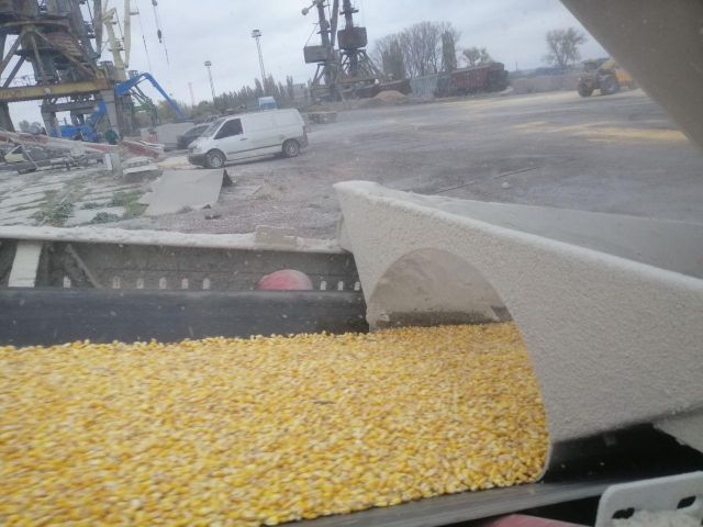Yellow corn non GMO on FOB - CIF - Image 3