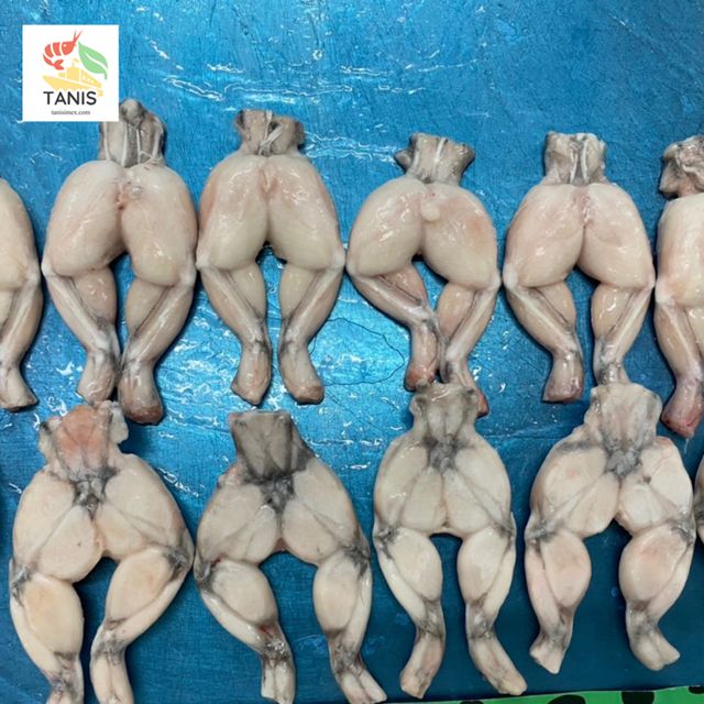 NEW SEASON Frozen Frog Legs from Vietnam bulk packing / vacuum bag Gap KOSHER certificate - Image 4