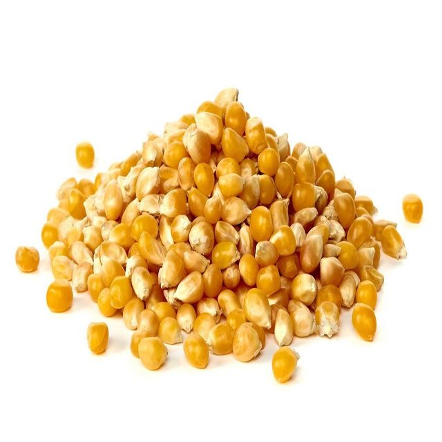 Wholesale supplier of premium Yellow Corn for food and feed – product photo 1, product detail gallery