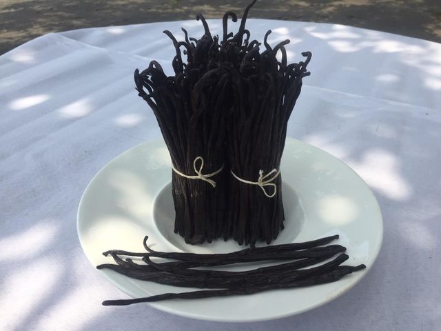 RENDAH Grade-2 Best Quality 14-15.9 cm Dried Vanilla Beans Indonesian Bourbon Pods Hot Selling Competitive Price – product photo 3, product detail gallery