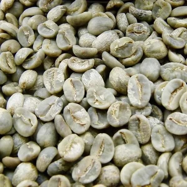 Coffee High Grade Green Bean Coffee Robusta/Arabica Coffee Free Sample - Image 3