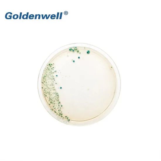 Reusing Plastic Petri Dishes Transparent OEM Provide Factory Yes Sample Free Use Laboratory Color Transparent HS Code - Image 2