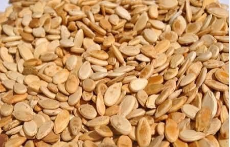 Premium Sudanese Watermelon Seeds Cleaned Grade 1 - Image 5