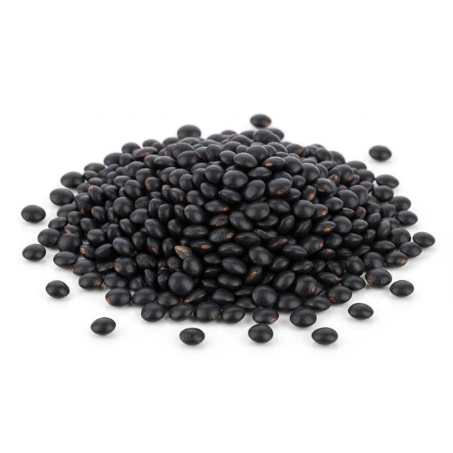 Natural Black Lentils Selected For Wholesale Buyers Supporting Nutrient Rich Applications And Export - Image 2