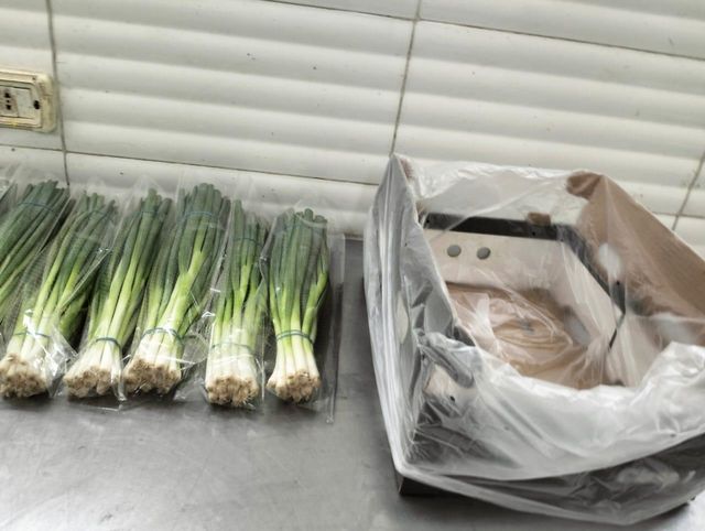 Spring Onion (Green Onion) Origin Egypt Shelf Life Excellent Quality Export Quality Quality Standard European Export Standards - Image 2