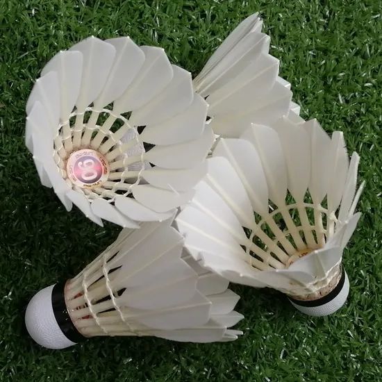 Top Goose Feather Badminton Shuttlecock for Tournament - Image 3