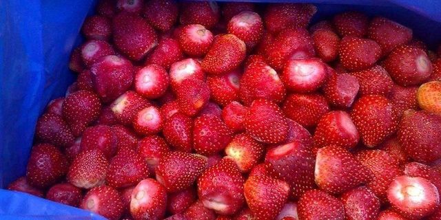 IQF Frozen Strawberries Grade A & B – Whole / Halves / Sliced – 10kg Cartons – From Egypt - Image 3
