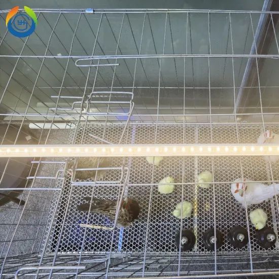 IP67 50000h Three-Color Dimmable LED Poultry Light Tube for Chicken Farming - Image 1