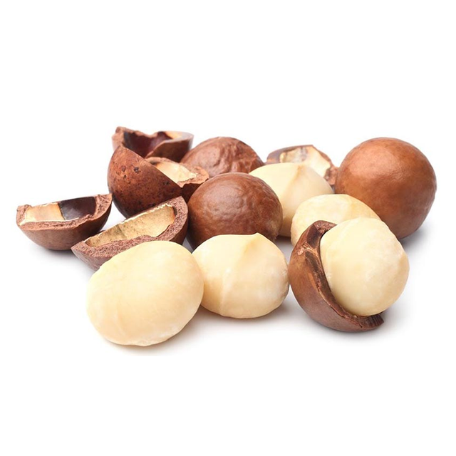 Premium Grade Vietnamese Raw Macadamia Nuts with shell - Raw/ Salted/ Roasted Macadamia Nuts good price ready for export - Image 3
