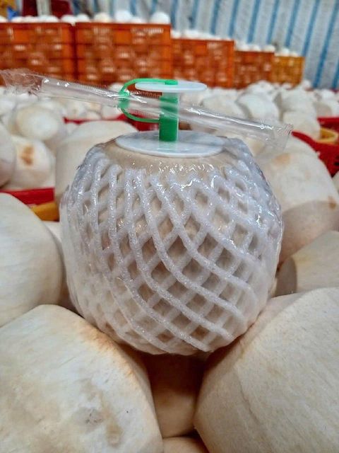 fresh coconuts Form Whole Origin vietnam Degree of Processing Fresh - Image 4