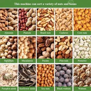 Automatic Processing Line Peanut Kernel Nut Size Grader Hazelnut Cracking Shell Almond Grading Machine in Low Price - Image 6