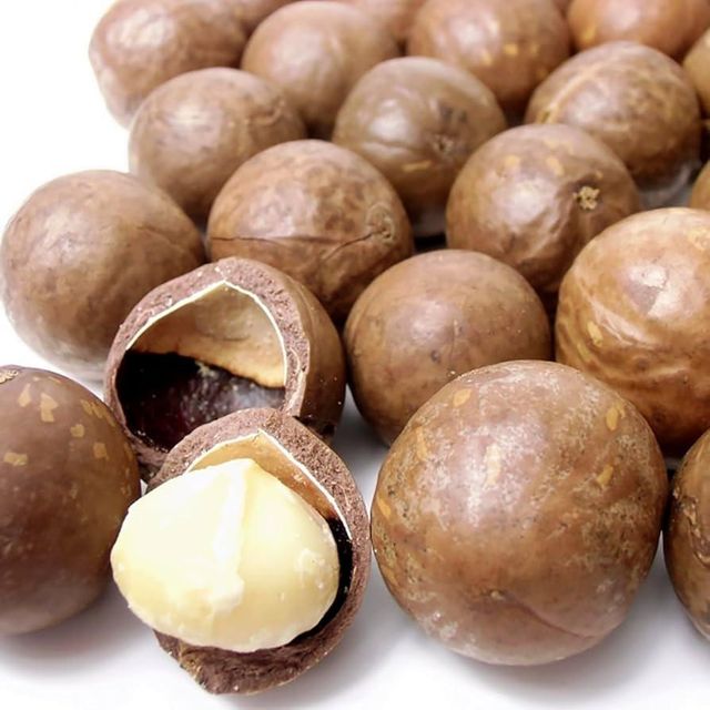 Fresh Roasted Macadamia Nuts Premium Bulk Supply Natural Snack Wholesale Ideal for Retail Chocolate Making and Gifts - Image 5