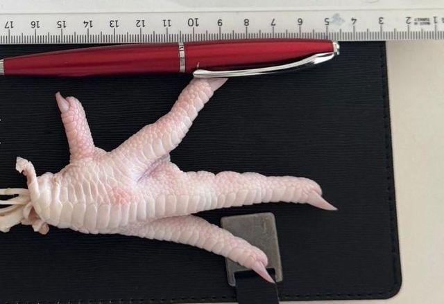 Frozen Premium Grade a Halal Chicken Feet & Paws Vacuum Pack Odor Nil Skin Color Off Ammonia Burn Nil Certifications Sgs Testing - Image 3