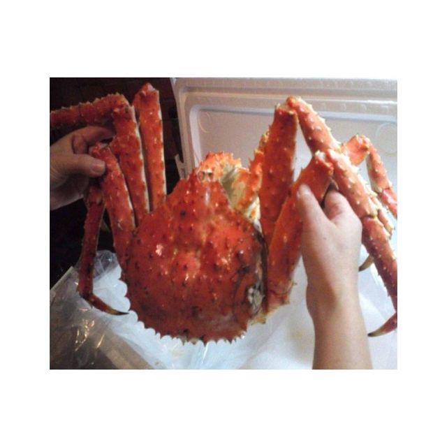 Live Red King Crab bulk supply wholesale premium quality seafood - Image 5