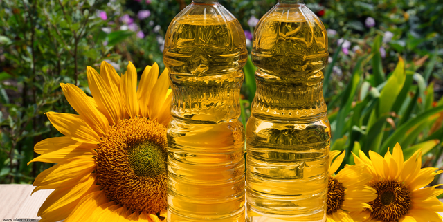 wholesale Sunflower oil Refined Edible Sunflower High Quality Refined Sunflower Cooking Oil Directly From Factory - Image 1