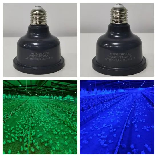 Safe Lighting Dimmable DC36V LED Poultry Light Bulb for Chicken Farm - Image 3
