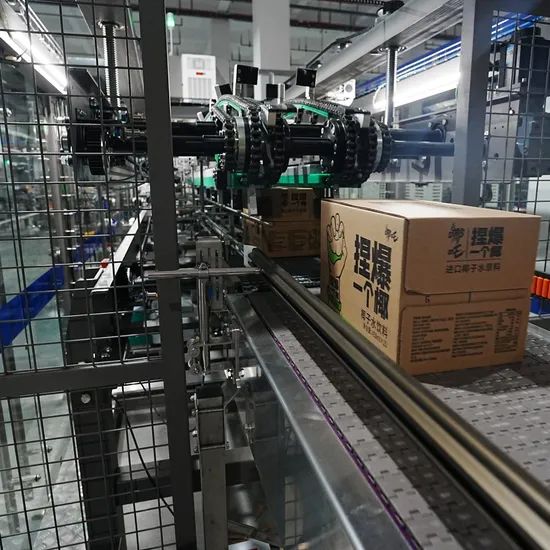 High-Speed Case Packers & Carton Sealers - Image 4