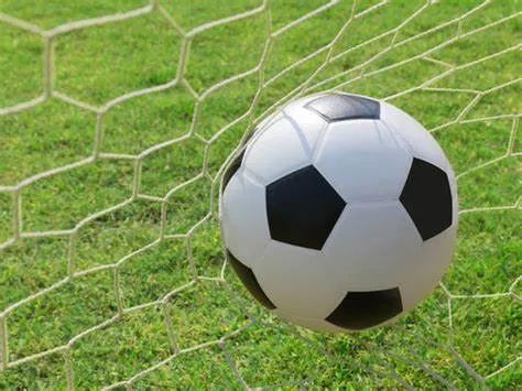 High Quality Football Net Price Professional Football Soccer Net Polyester Football Net - Image 1