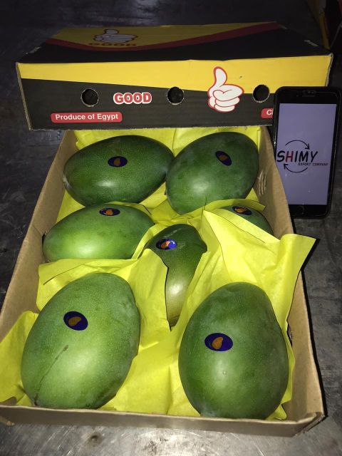 Fresh Mango - Image 6