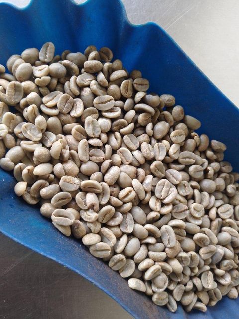 ROASTED COFFEE ROBUSTA / ARABICA Organic Yes Decaffeinated No Bean Type Arabica, Robusta Degree of Processing ROASTED - Image 2