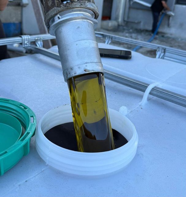 RBD Palm Olein CP10 – Refined Palm Oil,  Bulk Wholesale - Image 3