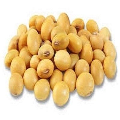 Premium Soybean Natural Fresh Bulk - Image 4