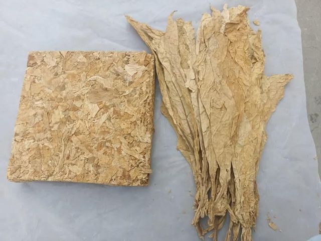 Tobacco Plant Genus Nicotiana Active Compound Nicotine Primary Use Smoking, Chewing, And Snuffing Processing Method Processed For Use In Smoking, Chewing, And Snuffing - Image 2
