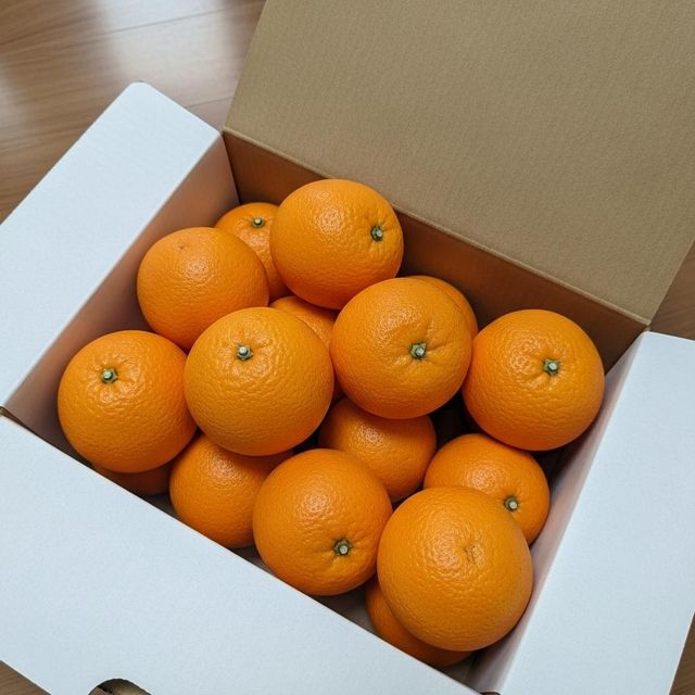 Fresh Valencia Orange Carefully Packed For Wholesale Distribution Featuring Juicy Segments And Excellent Fresh Condition - Image 5