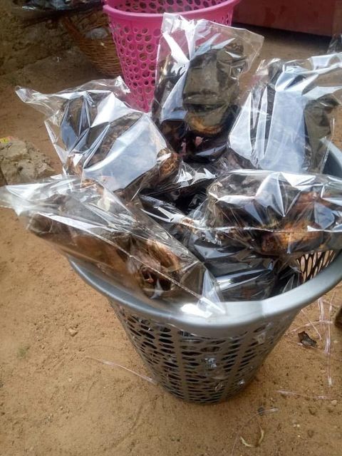 Dried Catfish Origin Nigeria Package Weight 500 Grm, 500grm Quality Grade USDA Choice, Usda Choice - Image 4