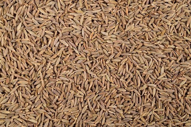 Cumin Seeds - Image 1