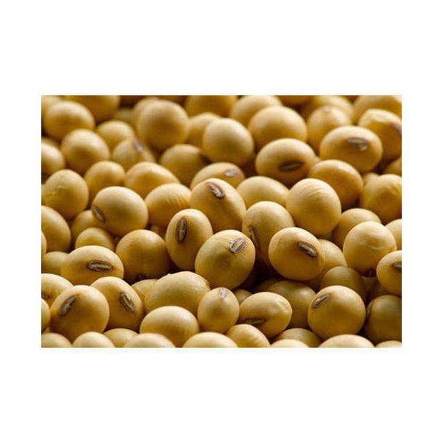 Brazil Agrofrozenchickenexports.com - Image 2
