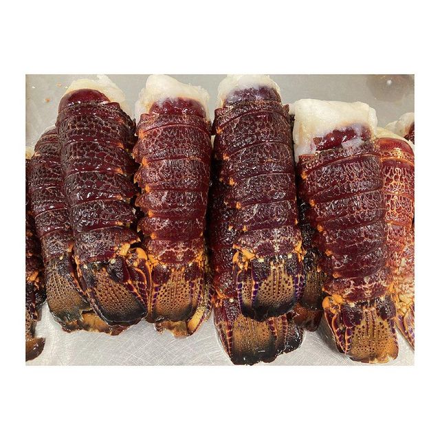 High value frozen lobster tails arranged for consistent trade supply - Image 4