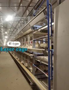 Advanced High-Accuracy Tools for Automatic Chicken Farm Management - Image 1