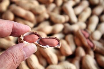 Wholesale Supplier Of Organic Peanuts available in bulk - Image 3