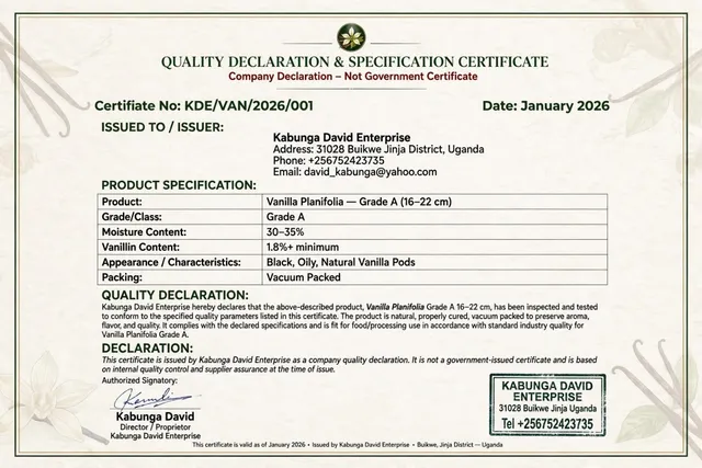 Vanilla Bean Grade A – product photo 4, product detail gallery