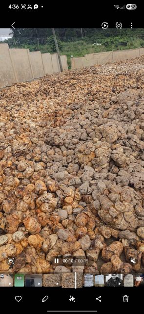 Rubber Cuplumps Form Coagulum Origin GHANA, Other Features Rubber Cuplump Dry Rubber Content 65%–85% Material Type Natural Rubber - Image 5