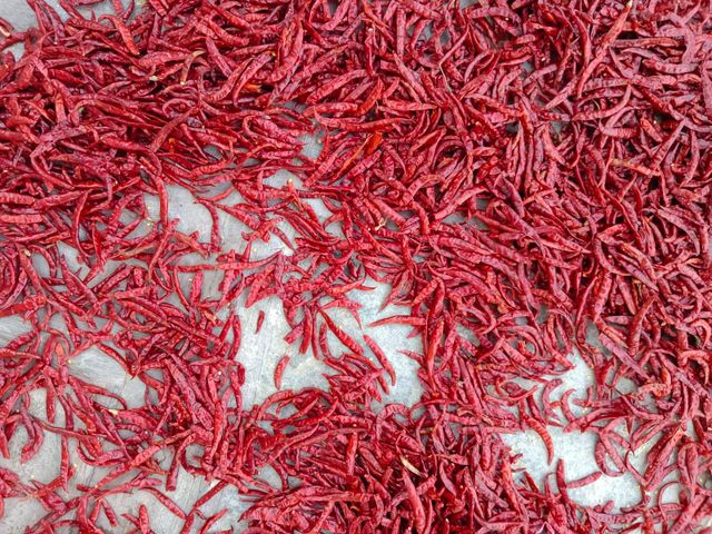 TEJA S17 chilli - Image 1