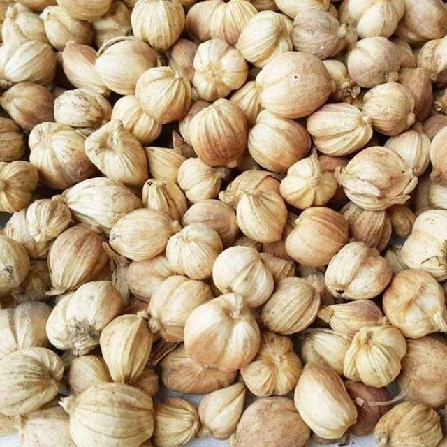 Premium Cardamom Origin Indonesia Foreign Matter Max. 1% Size Whole Pods, Uniform Moisture Content Max. 12% Minimum Order Quantity 500 Kg - Image 3