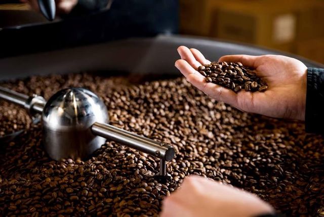 Green Coffee - Image 2