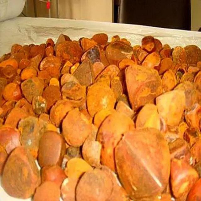 Hot Sale Cow Ox Gallstone Natural Dried Bovine Gallstone Premium Quality for Herbal Medicine and Pharmaceutical Industry - Image 2