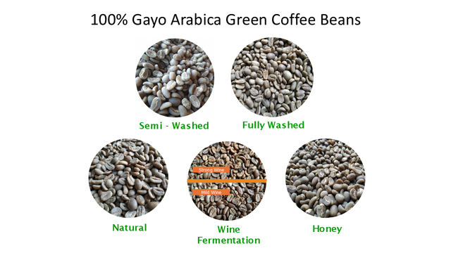 Sumatra Gayo Arabica Green Coffee Beans, Fully Washed - Image 4