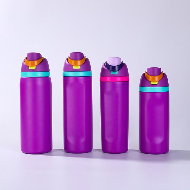 OEM FreeSip Insulated Stainless Steel Water Bottle with Straw - Image 1