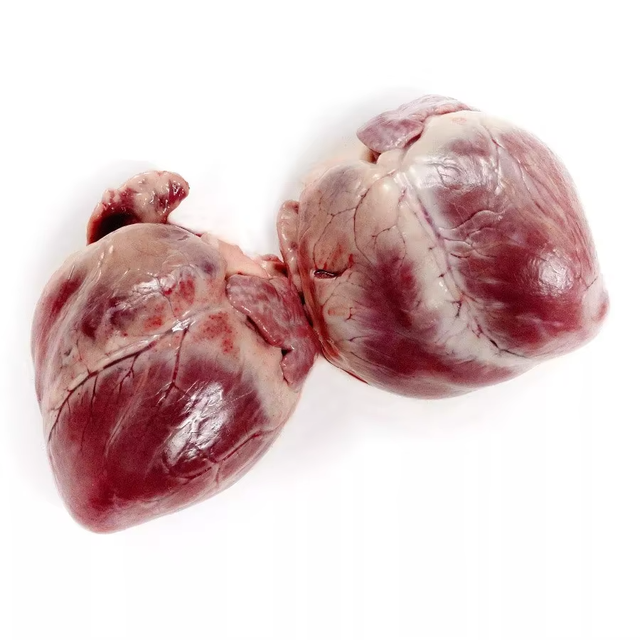 Fresh Frozen Pork Heart Selected For International Meat Distribution And Wholesale Buyers Requiring Reliable Frozen Pork Heart - Image 3