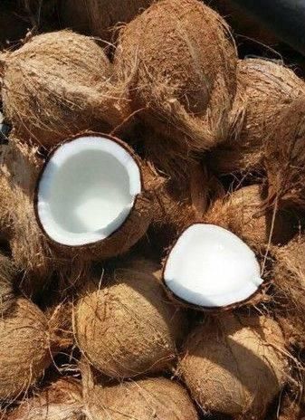 Semi-husked coconut – product photo 3, product detail gallery