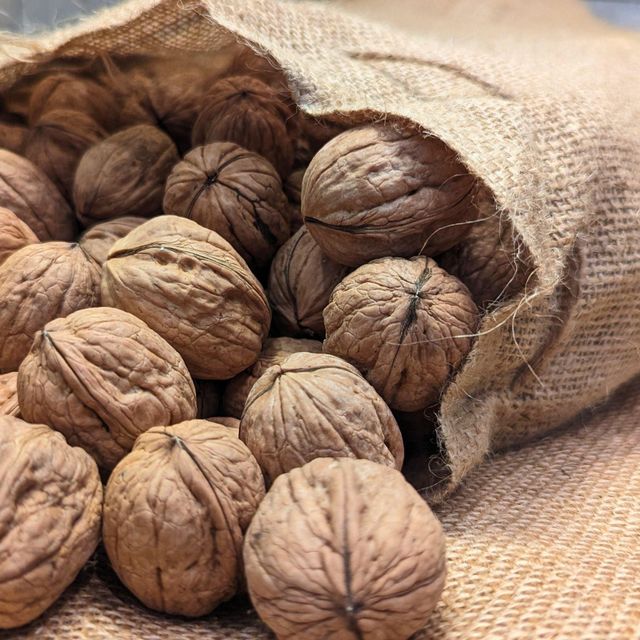 Fresh Natural Walnuts Premium Bulk Supply Snack Wholesale Ideal for Retail Baking Cooking and Gift Packs - Image 3