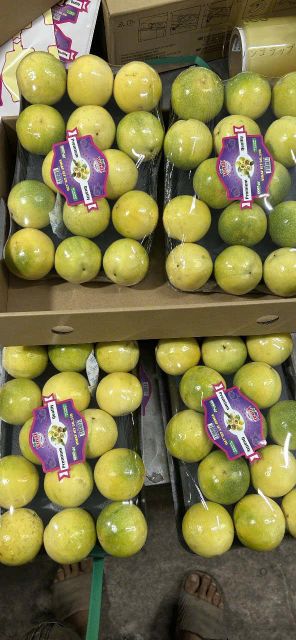 Fresh Mango, passion fruits, red chilli, longan, dragon, wax apple, jackfruit meat, coconut, pomelo,... - Image 2
