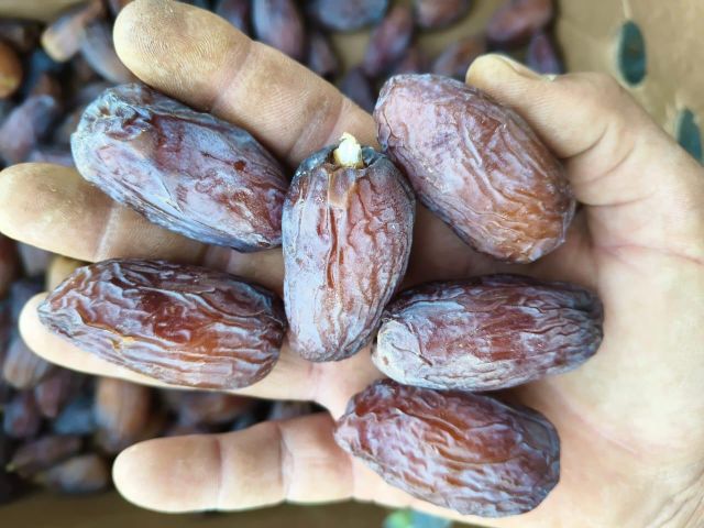 Safawi,sukkari,majdool dates – product photo 4, product detail gallery