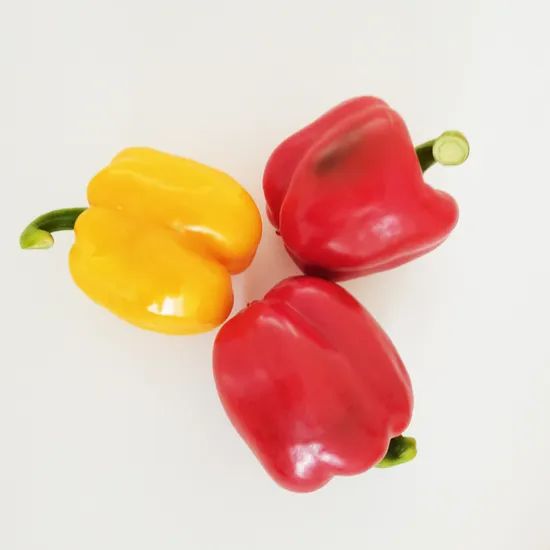 China Fresh Capsicum with Red/ Yellow/ Green Color - Image 2